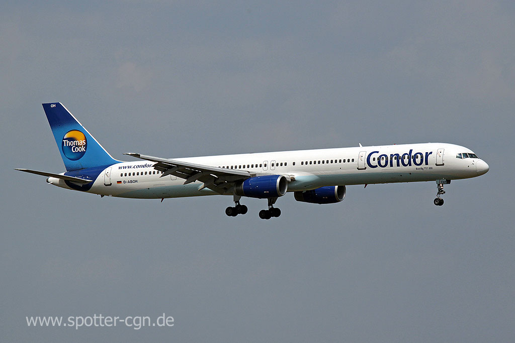 Condor d-aboh