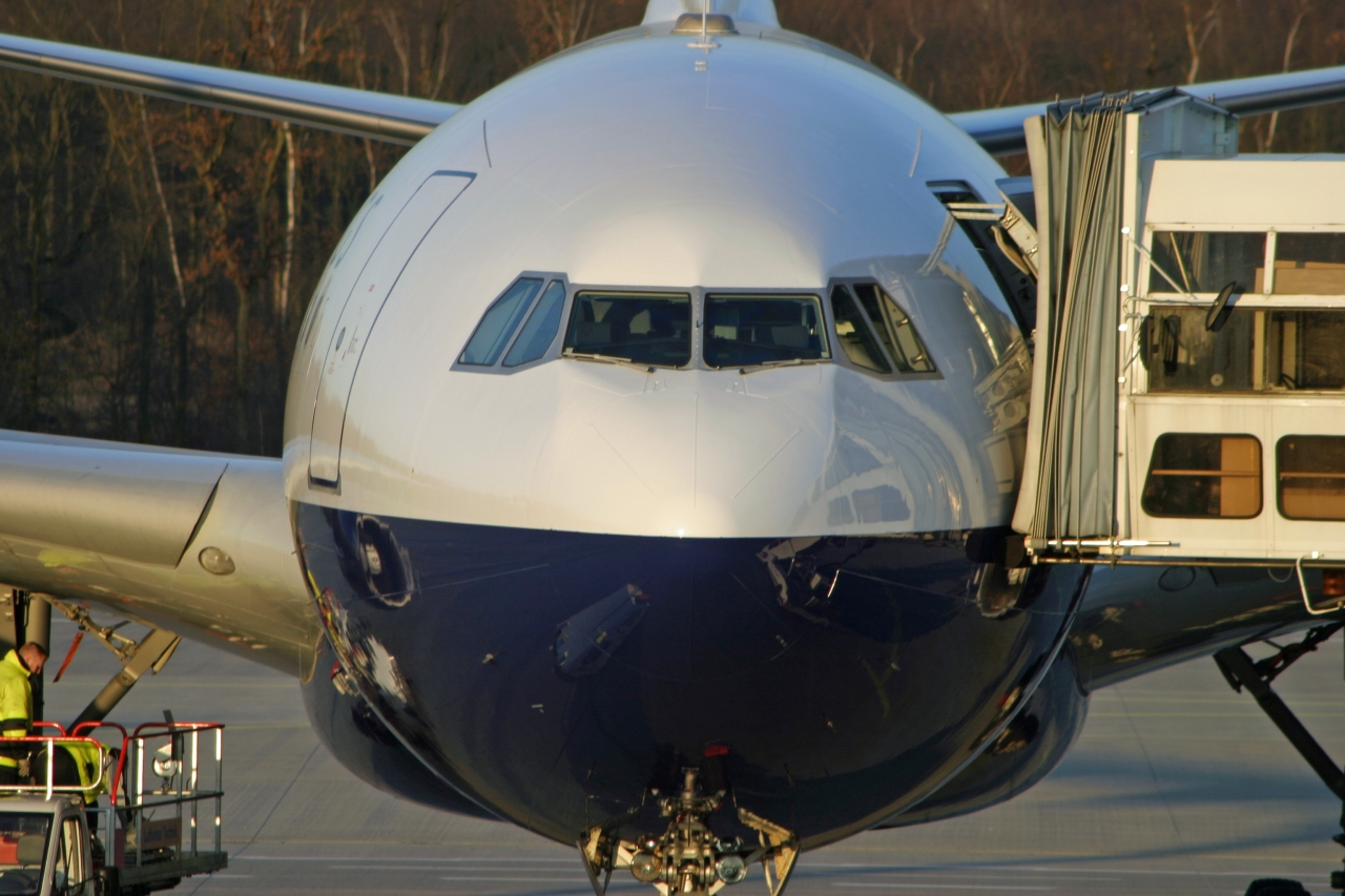 D-AXEL Blue Wings A330-330