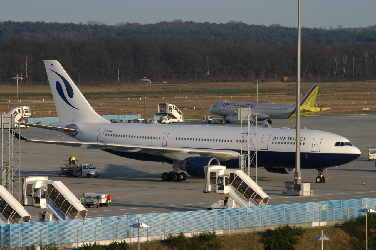 D-AXEL Blue Wings A330-330
