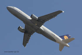 IMG 1611 D AIPZ 1024